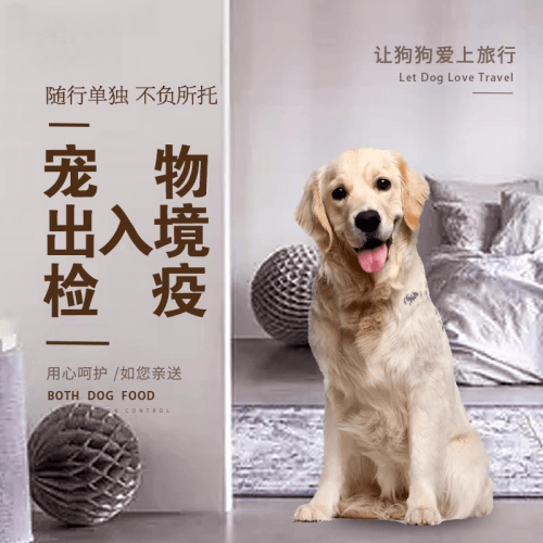 阿勒泰宠物托运到哥伦比亚猫狗宠物入境规定和