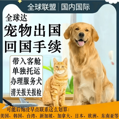 阿勒泰宠物托运到柬埔寨宠物入境规定和要求