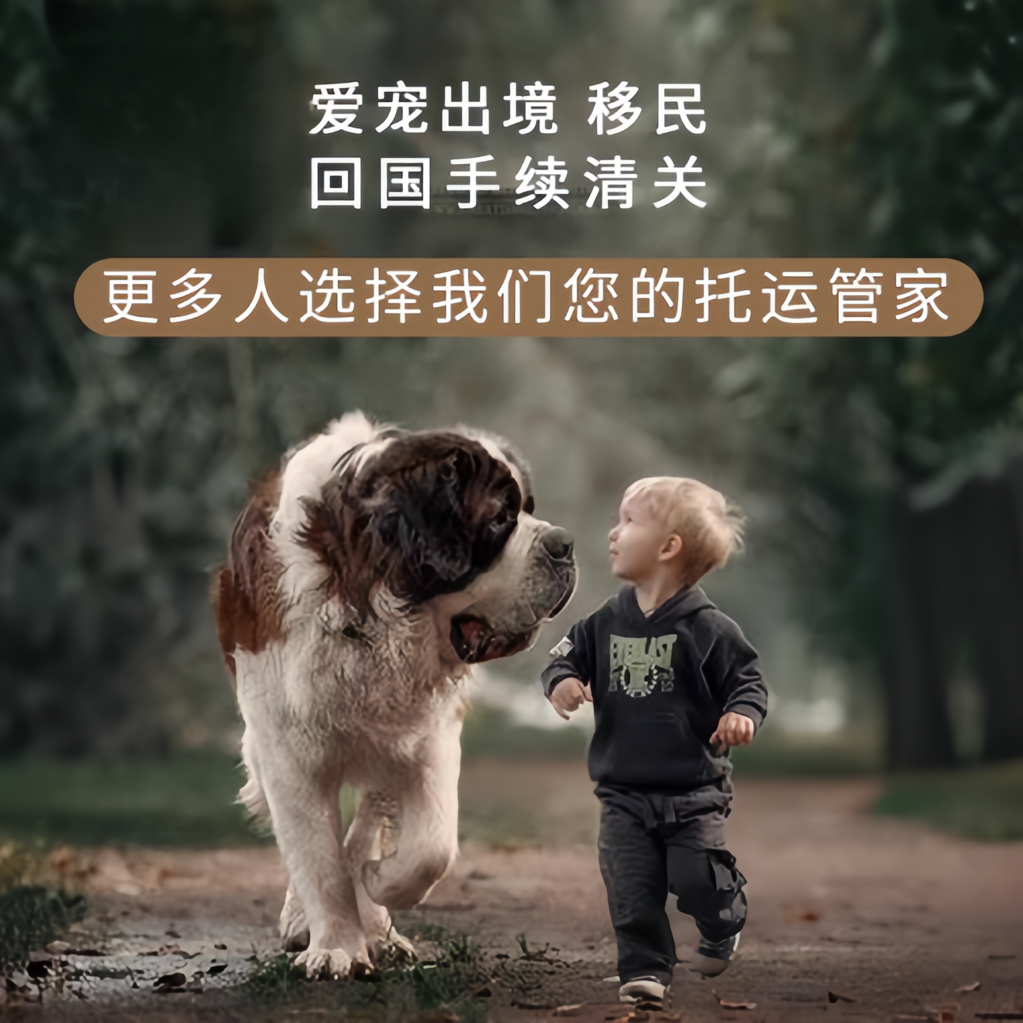 满财阿勒泰宠物全球达宠物托运在遵守入境目的地政策的条件