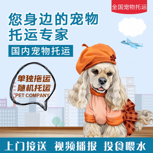 满财阿勒泰宠物全球达宠物托运作为专业的宠物运输代理机构
